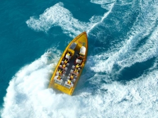 Adrenalina y velocidad